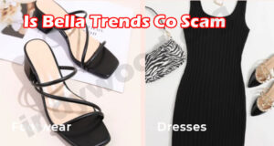 Bella Trends Co Online Reviews