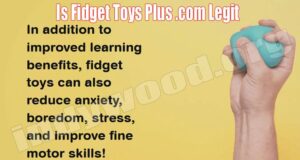 Is Fidget Toys Plus .Com Legit (Aug) Guided Reviews!