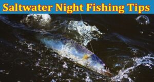 Complete Information About Saltwater Night Fishing Tips