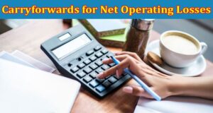 Complete Information About The Tax Ramifications of Company Losses and Using Carryforwards for Net Operating Losses