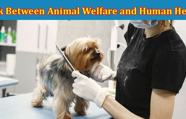 Complete Information About The Link Between Animal Welfare and Human Health